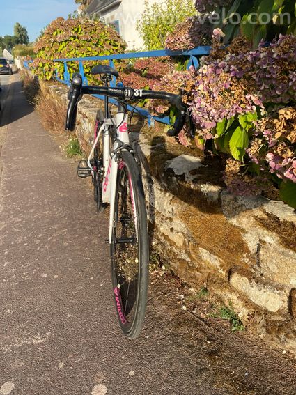 Cervélo S2 Carbon 48 - 2