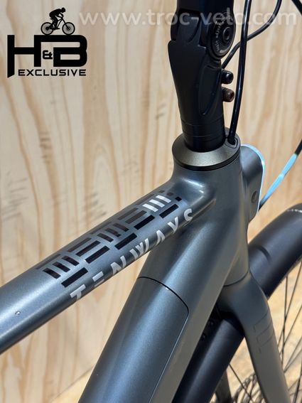Tenways CGO600 Pro Vélo électrique Single-Speed 2023 - 9