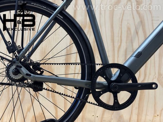 Tenways CGO600 Pro Vélo électrique Single-Speed 2023 - 13
