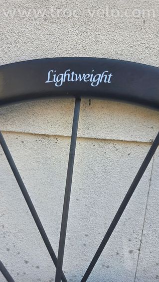 Paire de roue Lightweight Wegweiser Evo - 4