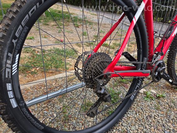 TrekProcaliber9.7 - 7