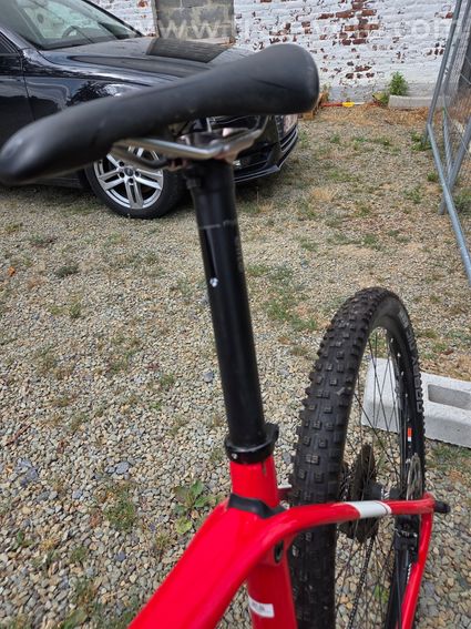 TrekProcaliber9.7 - 8