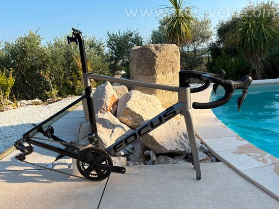 Focus Izalco Max 56