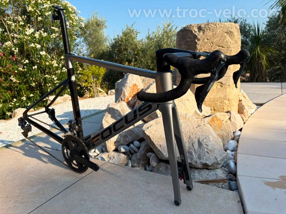 Focus Izalco Max 56 - 2