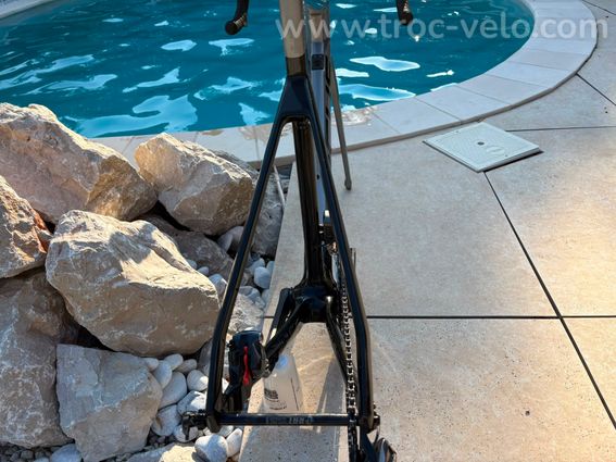 Focus Izalco Max 56 - 5