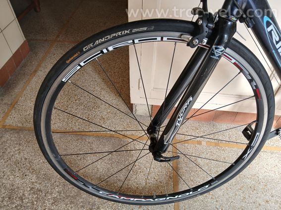 Ridley Gerion - 2