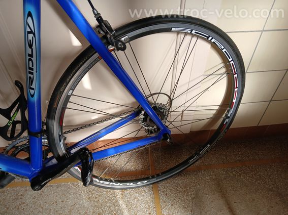 Ridley Gerion - 3