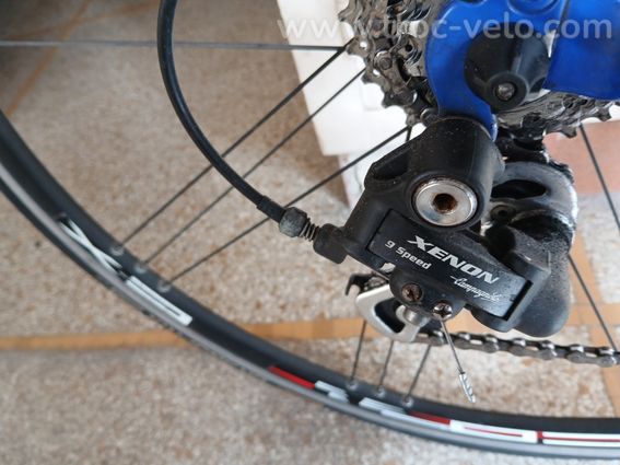 Ridley Gerion - 5