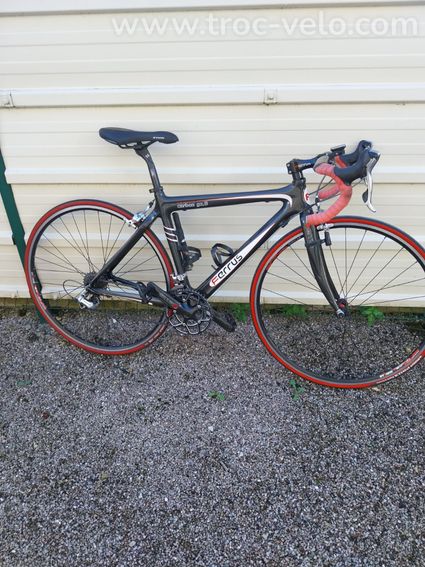 Ferrus gx8