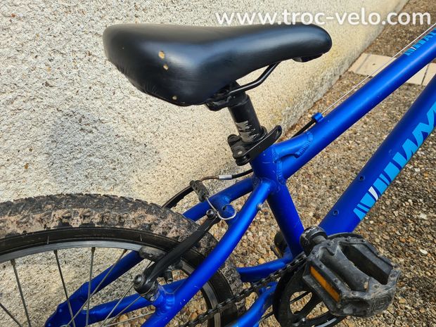 VTT 20" pouces (enfant 5 ans) Wyldee bleu - 3