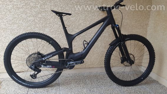 Scott Ransom 2024