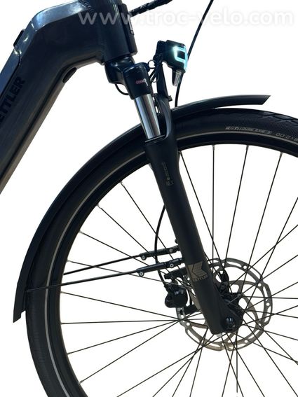 Kettler Quadriga T&C Pro Belt Vélo électrique Shimano Nexus 2022 - 3