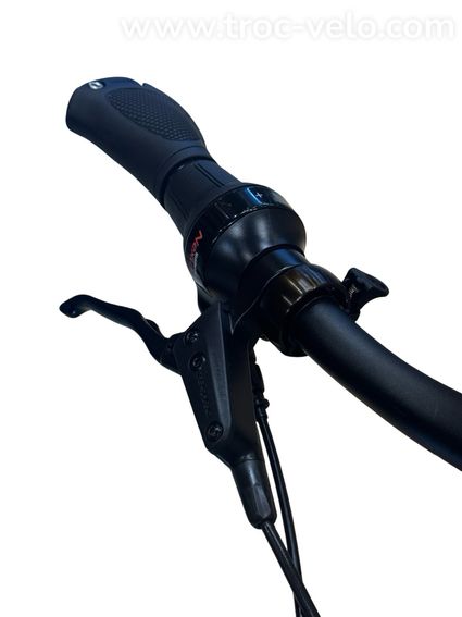 Kettler Quadriga T&C Pro Belt Vélo électrique Shimano Nexus 2022 - 5