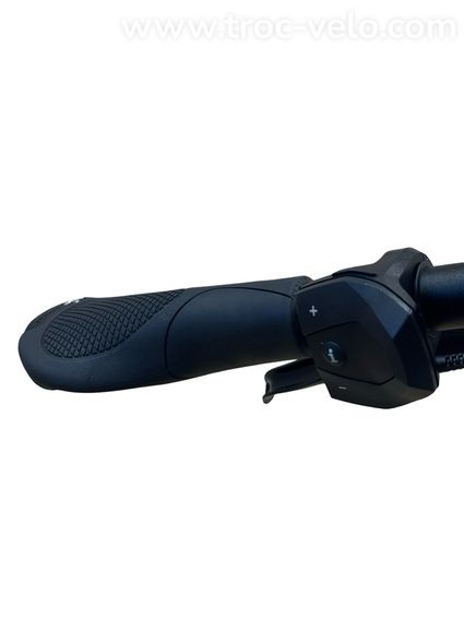 Kettler Quadriga T&C Pro Belt Vélo électrique Shimano Nexus 2022 - 7