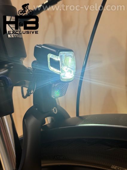 Kettler Quadriga T&C Pro Belt Vélo électrique Shimano Nexus 2022 - 4