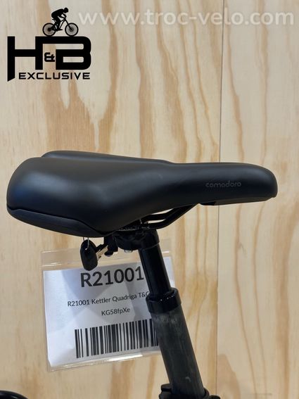 Kettler Quadriga T&C Pro Belt Vélo électrique Shimano Nexus 2022 - 9