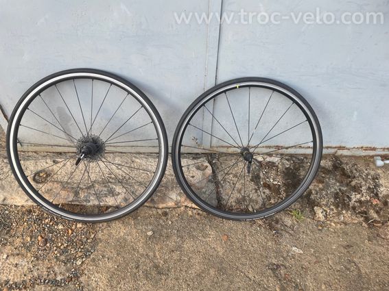 CLM Factor Slick - 10