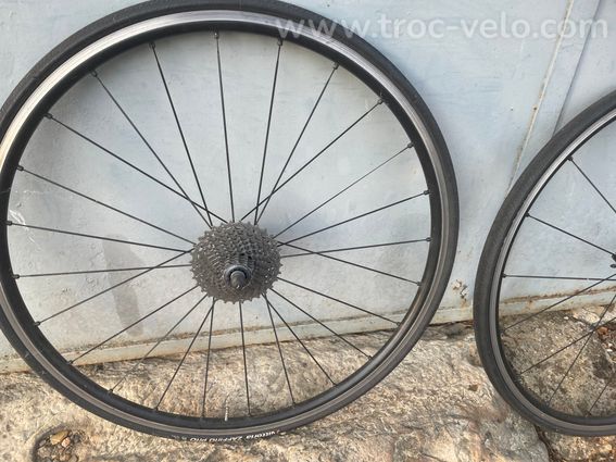 CLM Factor Slick - 11