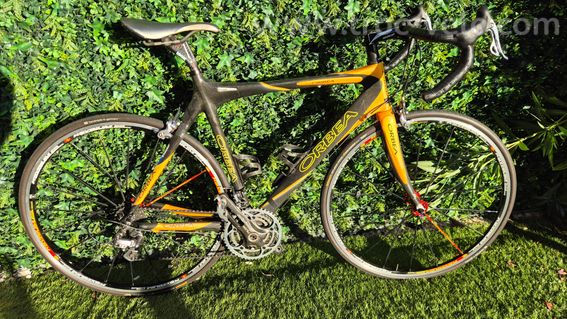 Velo Orbea orca