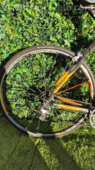 Velo Orbea orca - 3