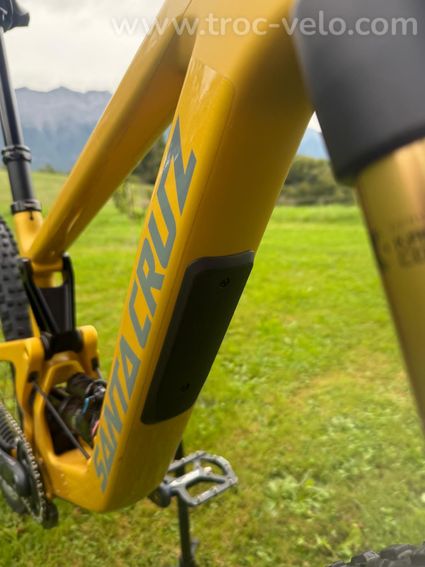 SANTA CRUZ BRONSON - 3