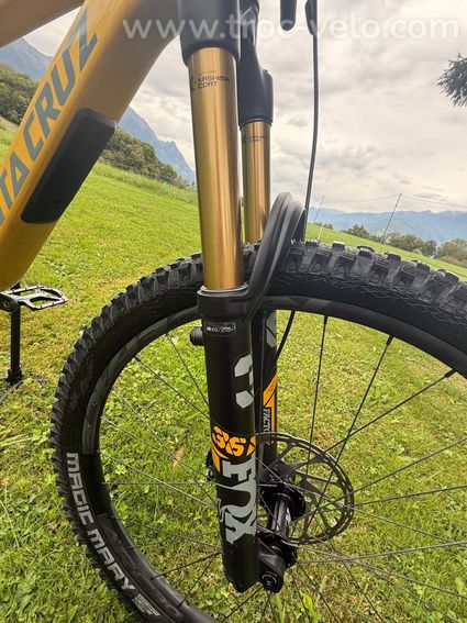 SANTA CRUZ BRONSON - 7