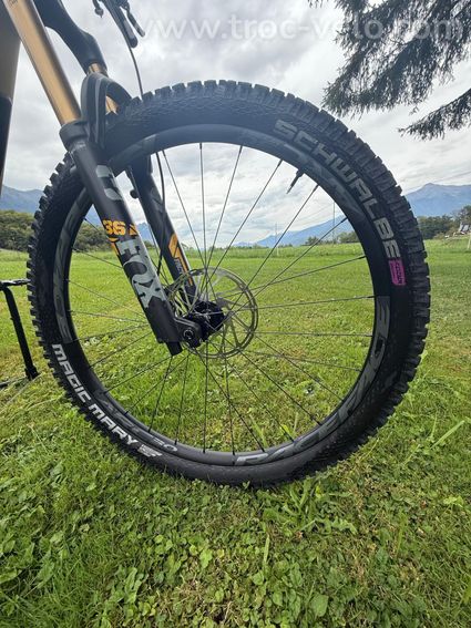 SANTA CRUZ BRONSON - 9