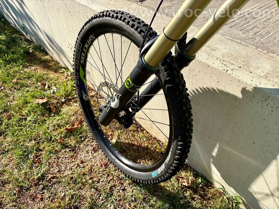 Scott Gambler 20 DH 2013-2014 - 2