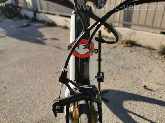 Vélo NEUF COLUMBUS GENIUS CARBON - 11