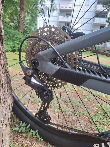 VTT Focus thron - 7