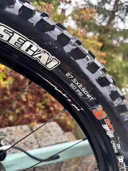 Scott Gambler rc  - 5