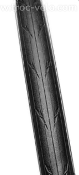 Fusion 5 performanceTubeless - 2