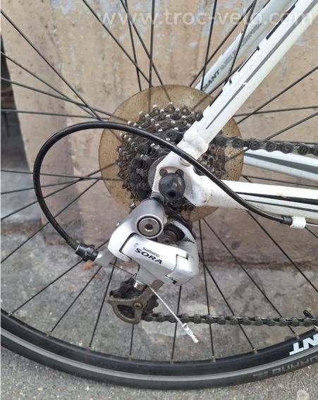 Giant Defy - 5