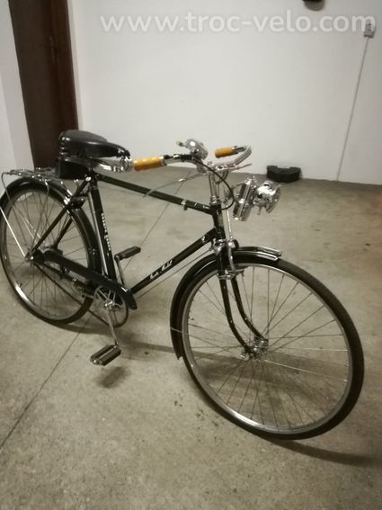 Sangal 1965