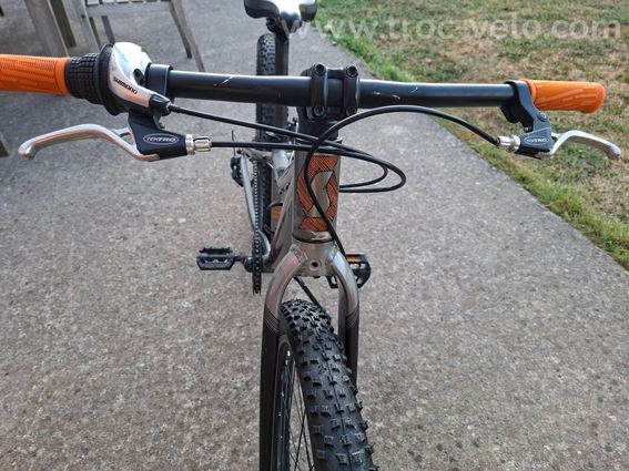 VTT SCOTT ROXTER 24"- smoked raw alloy / black - 3