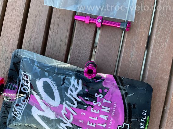 Paire de valves tubeless MUC OFF + préventif  - 2