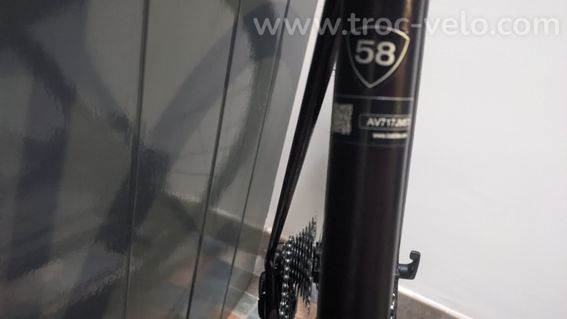 velo specill - 3