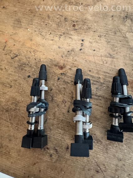 Valves tubeless DT Swiss Neuves  - 2