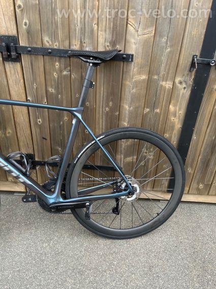Giant TCR 2025 - 4