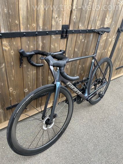 Giant TCR 2025 - 5