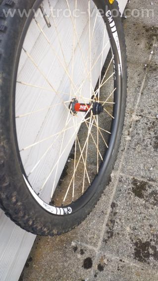 Roues Carbon Rayon Berd - 2