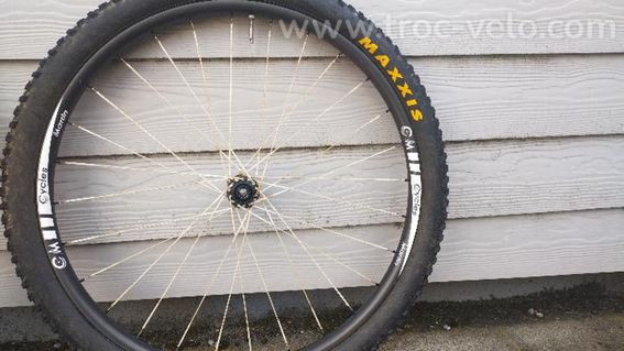 Roues Carbon Rayon Berd - 3