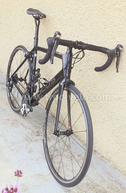 FOCUS Izalco race L - 1