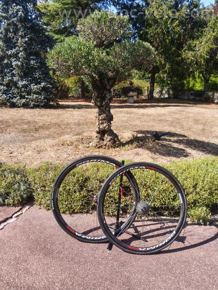 Roues Corima viva S à pneus