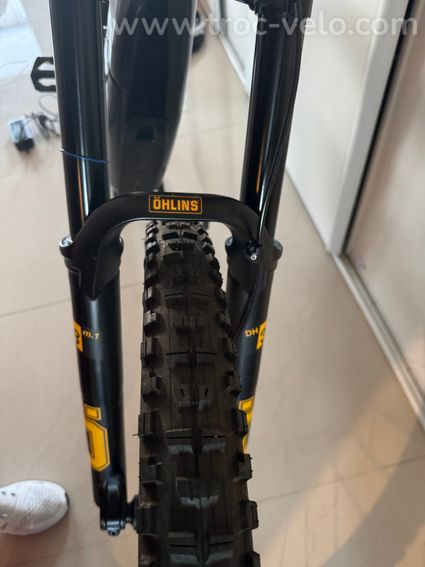 INTENSE MX PRO CARBONE VAE - 15