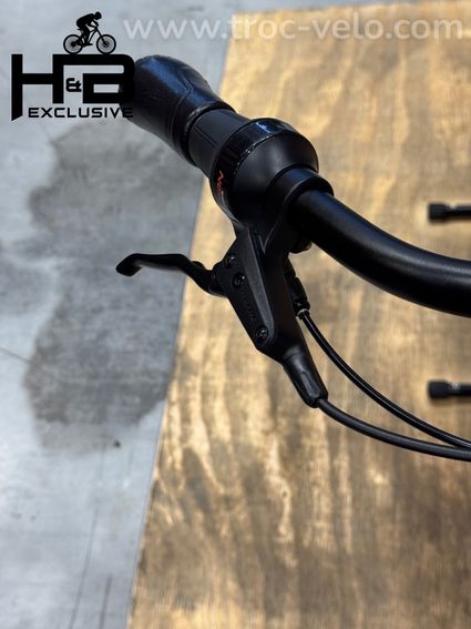 Gazelle Arroyo C5 Elite Belt Vélo électrique Shimano Nexus 2025 - 5
