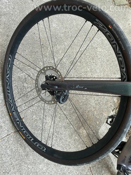Campagnolo Zonda Disc 2019