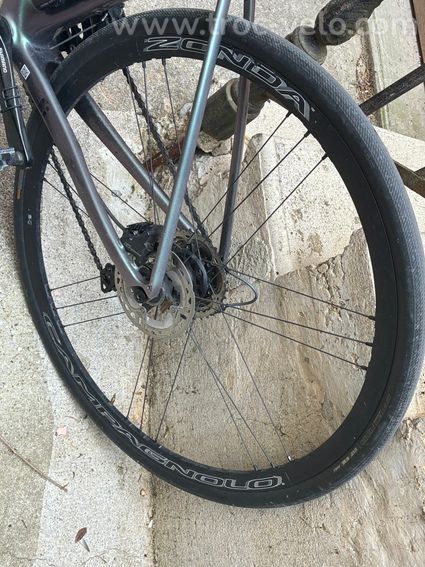 Campagnolo Zonda Disc 2019 - 2