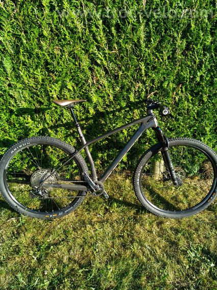 Scott Scale 925 2022