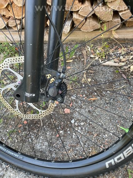 Canyon, Exceed CF 5 2022 - 4